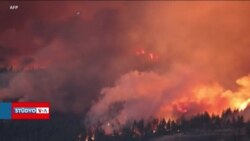 2023'te hava sıcaklılarında rekor kırıldı; sorumlu iklim değişikliği