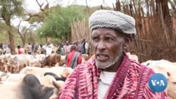 መጣል በጀመረው ዝናም ለመከር መዘጋጀታቸውን የቦረና አርሶ አደሮች ገለጹ