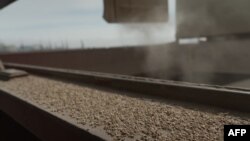 FILE - Grain is loaded on a bulk carrier in the Black Sea port of Chornomorsk, Odesa region, within the program "Grain From Ukraine," March 24, 2023.