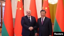 시진핑(오른쪽) 중국 국가주석과 알렉산드르 루카셴코 벨라루스 대통령이 1일 베이징에서 회담 중 악수하고 있다.