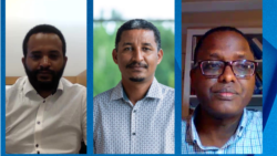 ዘተ፤ ተካኢ ወለዶ ኤርትራ ኣበይናይ ብርኪ?