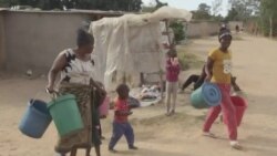 Sécheresse au Zimbabwe : une avocate crée une fondation pour nourrir les enfants
