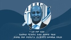 የዳያስፖራ ድርጅቶች ለጠቅላይ ሚንስትሩ የጻፉት ግልጽ ደብዳቤ