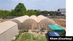 ພາບສວນຄວນ ໝາກແຕງຄັນຕາລູບຂອງ ທ່ານຄົມ ທີ່ຕັ້ງຢູ່ບ້ານໂນນສະອາດ, ເມືອງໄຊທານີ, ນະຄອນຫຼວງວຽງຈັນ.