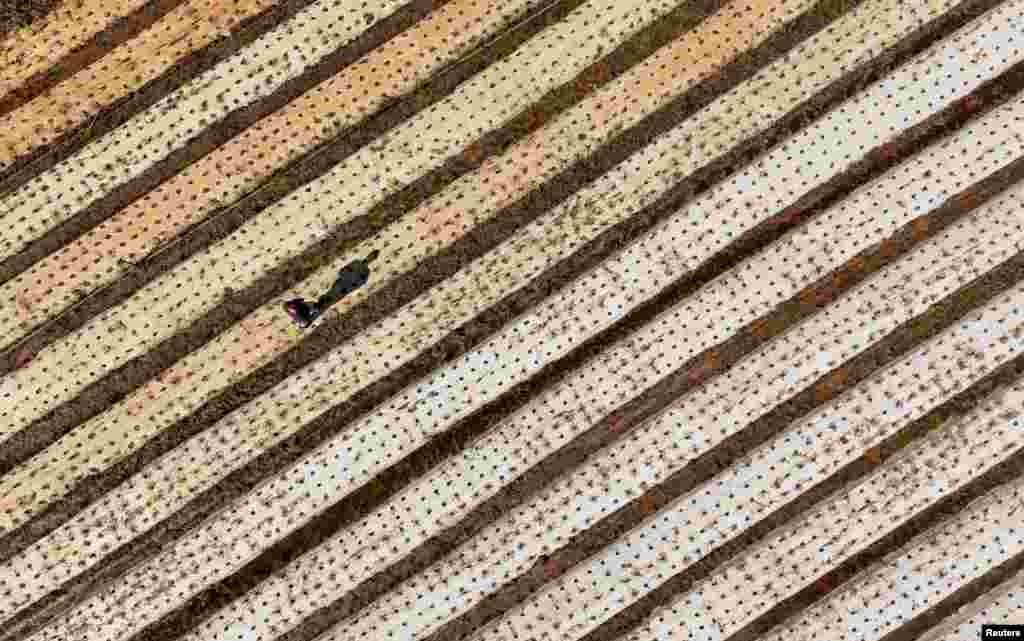 Adan Junior Bonetti Tardetti berjalan melewati perkebunan selada miliknya dan ayahnya yang hancur akibat banjir di Guaiba, negara bagian Rio Grande do Sul, Brazil, 9 Mei 2024.