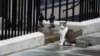 Larry si kucing tampak duduk di Downing Street, London, Inggris, 5 Juli 2024. (Foto: REUTERS/Hannah McKay)