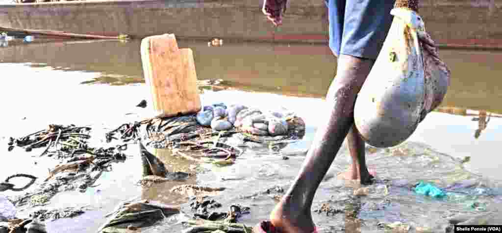 ታዳጊው የላም አንጀትን ከእርድ በኋላ በአቅራቢያ ካለ የአባይ ወንዝ ውስጥ ያጥባል፡፡&nbsp;