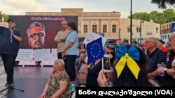 თავისუფლება ნიკა გვარამიას - აქცია პრეზიდენტის რეზიდენციასთან