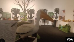 Izložba „Priroda na dodir” u Zemaljskom muzeju u Sarajevu