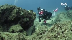 Женската заедница за нуркање ги предизвикува површинските претпоставки за пол, раса и возраст