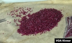 គ្រាប់ត្បូងទទឹមតូចៗដាក់បង្ហាញនៅហាងលក់ត្បូងរបស់លោកឈុន ការីម ក្នុងទីក្រុងប៉ៃលិន ថ្ងៃទី២៤ ខែកក្កដា ឆ្នាំ២០២៣។ (ហ៊ុល រស្មី/វីអូអេ)