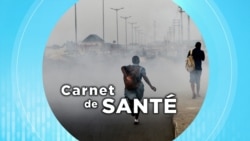 Carnet de santé : la pollution de l'air