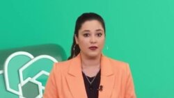 اے آئی اور کاپی رائٹس کا مقدمہ, معاملہ کیا ہے؟