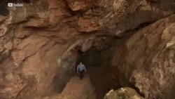 ماضی میں انسانوں کی کتنی اقسام ایک ساتھ آباد تھیں؟