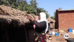 Malawi farmers reap rewards of ditching tobacco farming