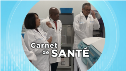 Carnet de Santé : la fuite des cerveaux 