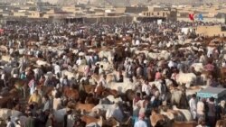 په کویټه کې لوی اختر ته د افغانانو چمتوالی