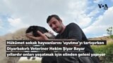 Hükümet sokak hayvanlarını "uyutma"yı tartışırken Diyarbakırlı veteriner onları yaşatıyor 