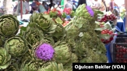 Türkiye’nin en önemli enginar üretim merkezlerinden biri olan Urla’da, çiftçiler festival sayesinde Urla sakız enginarının daha fazla tanındığını söylüyor.