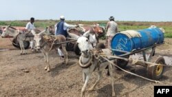 Sejumlah warga mengantre untuk mendapatkan air dari sebuah sumur di Gadaref, Sudan, pada 17 Agustus 2023. (Foto: AFP)