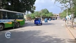 የበልግ ሙቀት መጨመር እና ተጽእኖው