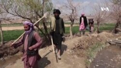 تاریاک بند شول خو نور هر څه دوه چنده قیمته دي –  پخواني کروندګر