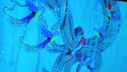 پښتنې هنرمندې فوزیه من الله په اسلام اباد کې د خپلو هنري پارچو له لیارې د پښتنو مېرمنو درد انځور کړی