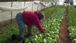 Community Supported Farming