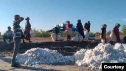 Turkmanistonda sharoitdan noligan shaxs jiddiy bosimga ostida qoladi (Foto: Turkmen News)