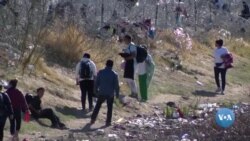 AQShga migrantlar oqimi yana oshyapti