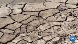 Markaziy Osiyo: Suvni tejaydigan innovatsion usullar zarur