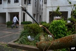 A man walks by a lamp post and trees damaged by Typhoon Saola in Heng Fa Chuen, Hong Kong, on Sept. 2, 2023.