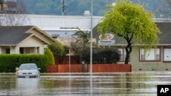 A vehicle is stuck in floodwaters in Watsonville, California, March 11, 2023.