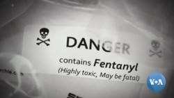 Could Artificial Intelligence Help Solve the Nation's Fentanyl Crisis? 