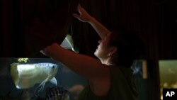 Tetiana Podosionova, 54, feeds the fish of Amazing Fish Aquarium in Kramatorsk, Ukraine, Sept. 13, 2023.