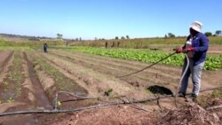 Investors line up for South Africa’s nuclear energy technology