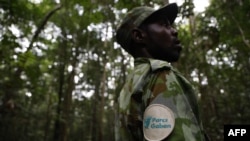 De l'Afrique au Brésil, les forêts sont partout menacées par la surexploitation agricole et industrielle.