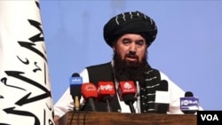 عبدالحکیم شرعی، سرپرست وزارت عدلیه حکومت طالبان