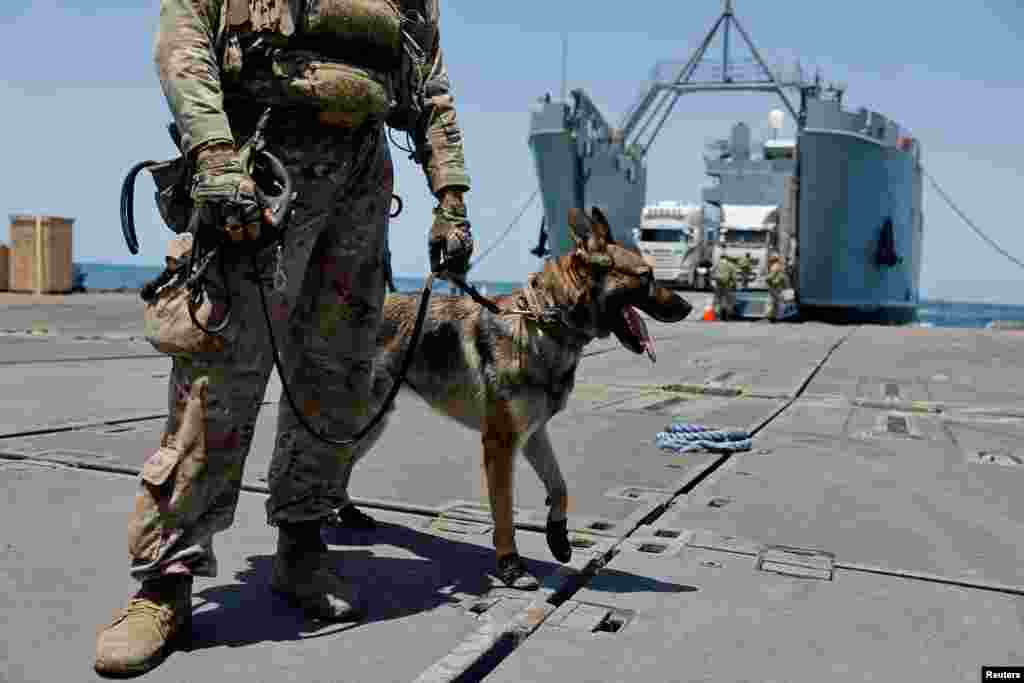 An American soldier stands guard with a dog at Trident Pier, a temporary pier to deliver aid, off the Gaza Strip.