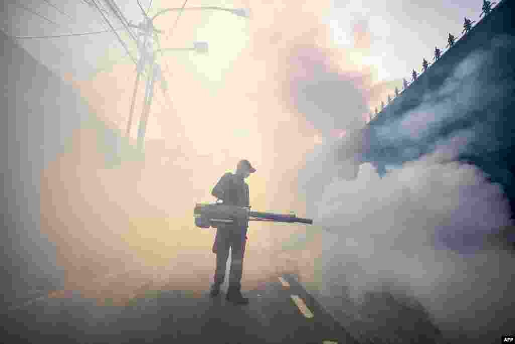 A pest control officer fumigates a street with insecticides in Jakarta, Indonesia, amid efforts to stop the spread of dengue fever mosquitoes.
