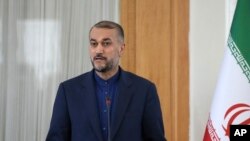 호세인 아미르압둘라히안 이란 외무부 장관 (자료사진)