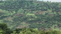 Godinaa Horroo Guduruu, Aanaa Amuruutti, Hidhattoonni Namoota Nagaa 13 Ajjeesan, Jedhame