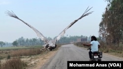 Arif Gurjar rides his motorcycle near his home in Mandkha, Uttar Pradesh, India, as a Sarus crane named "Sarus" follows. Gurjar found and rescued the injured bird, which continued to stay close to him after it recovered from its injuries until it was taken away to a zoo. 