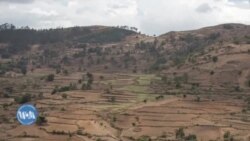 ቅትለት ጓሶት ራያ-ዓዘቦ፡ ኣብ ርእሲ ሞት ንተወሳኺ ጎንጺ ከይደፍእ የሻቕል