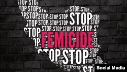 یک نهاد حقوق زنان در آمریکا از ثبت ۱۵۶ مورد «زن‌کشی» در ایران در سال ۲۰۲۳ خبر داد