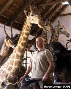 Stephen Nel, pemilik rumah potong hewan Camo Meat di Bela Bela, berpose di antara boneka binatang, 22 April 2024. (Foto: AFP/Marco Longari)