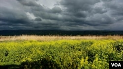 以色列北部的原野和地平线 (美国之音/唐丹鸿)