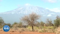 L'appui d'une association kenyane aux éleveurs frappés par la sécheresse