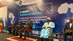 Afrique centrale: les petits pas vers la communauté économique régionale 