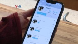 Kampung Amerika: Tombol Bantu Kewan Ngomong
